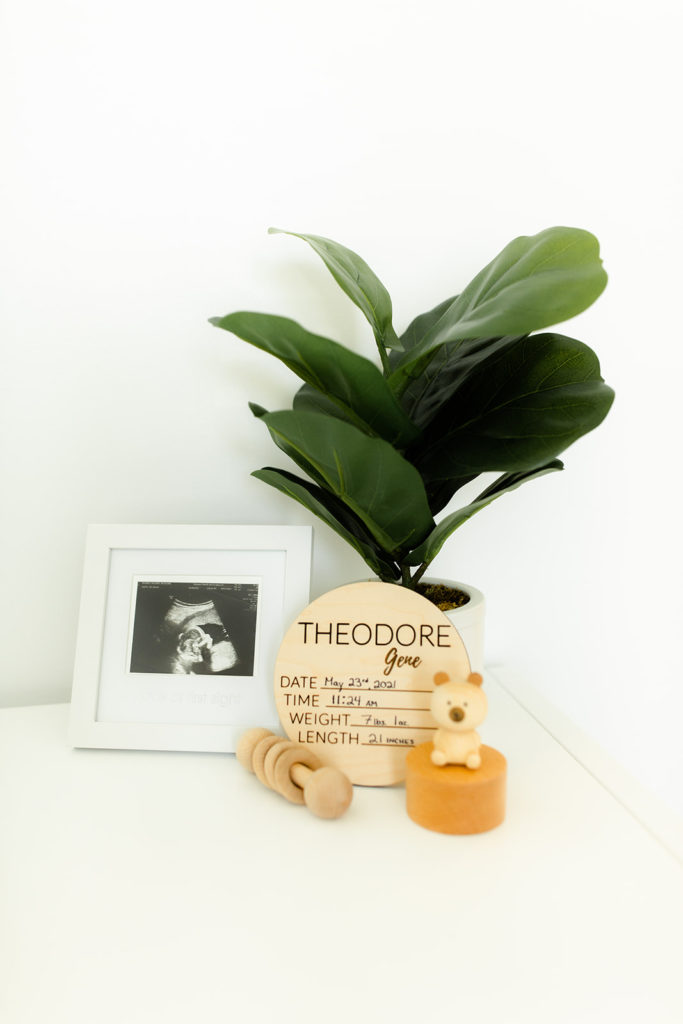 Newborn Photography Session with Sarah Stracuzzi Photographer in Palm Beach Florida